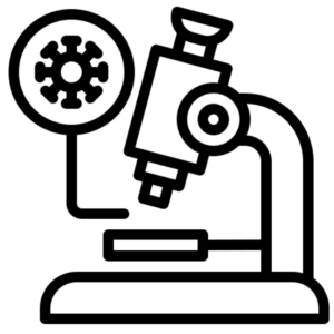 Schermata 2021-07-27 alle 03.11.34